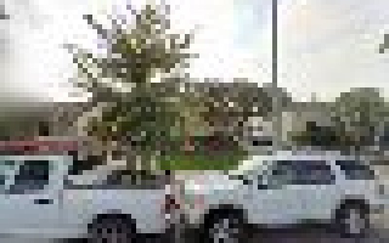 Woolf Electric — Electrician in Lakewood