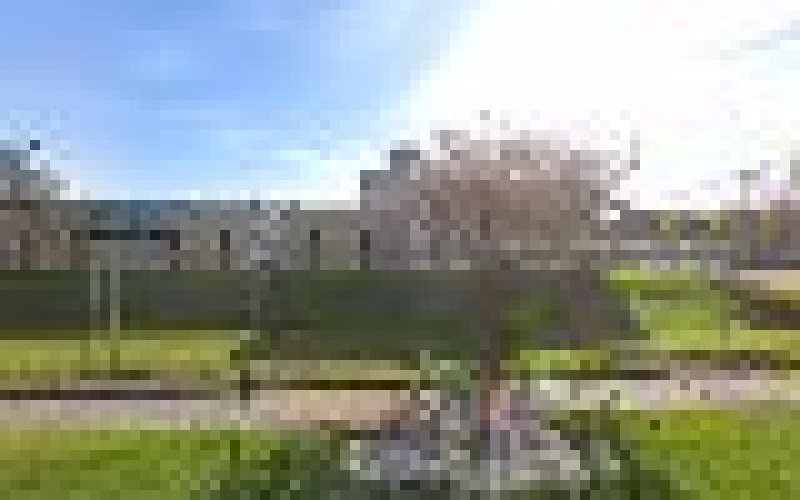 Jack Spring Electrical Contractors, Inc.