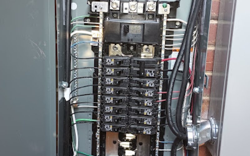 Brown Bear Electrical