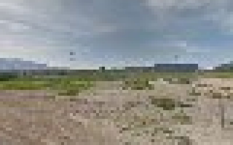 Peerless Electric