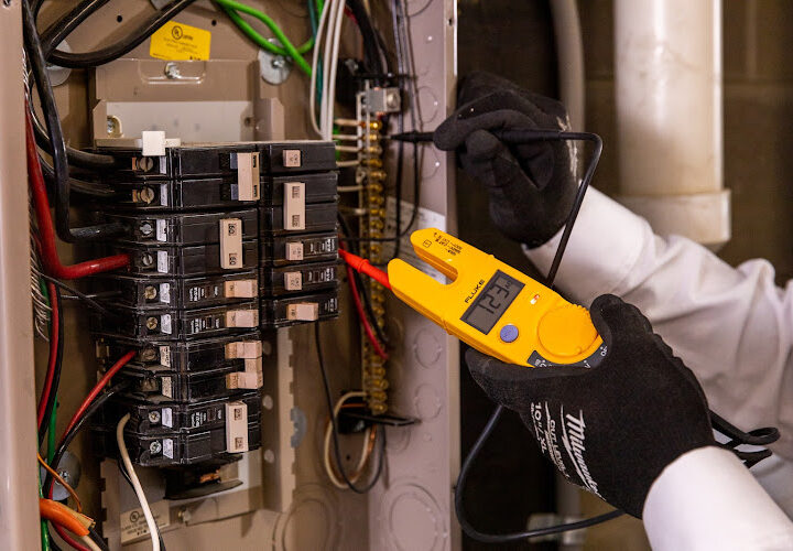 Mister Sparky Of Denver